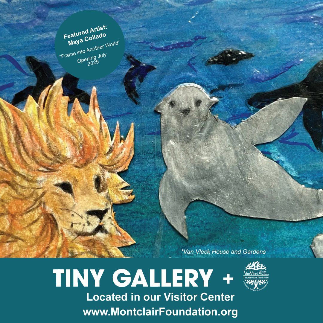 Tiny-Gallery-July-2025_Maya-Collado